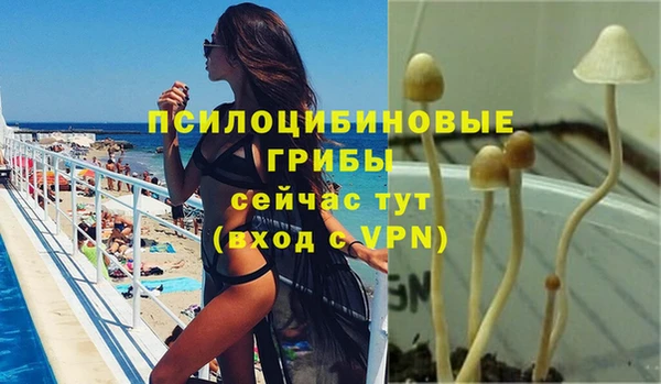 каннабис Бородино