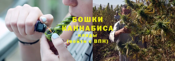 гидра Бронницы