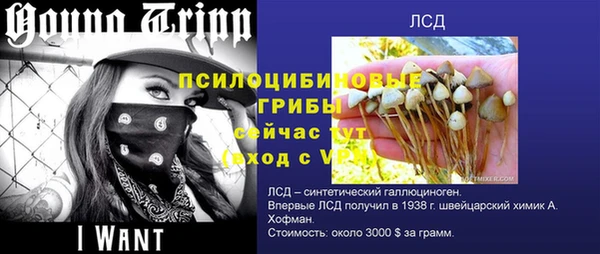 каннабис Бородино
