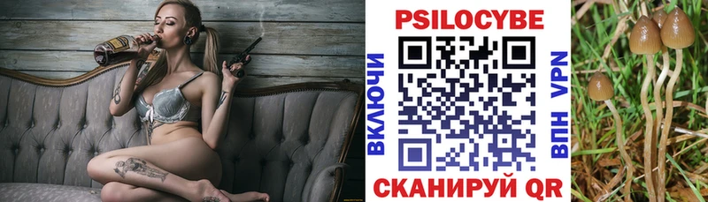 hydra ссылка  Качканар  Галлюциногенные грибы Magic Shrooms 