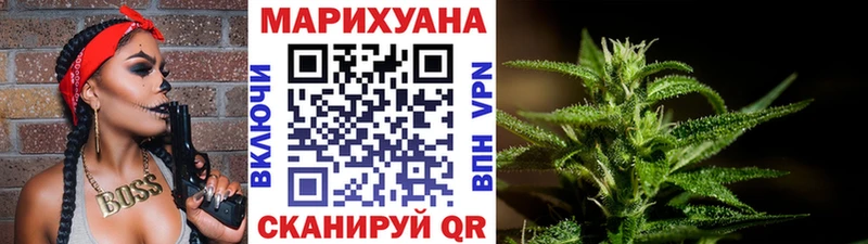 Каннабис планчик Качканар